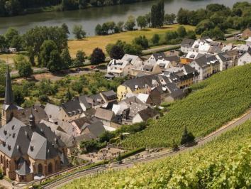 Blick aus den Weinbergen auf Ferienwohnung in Graach